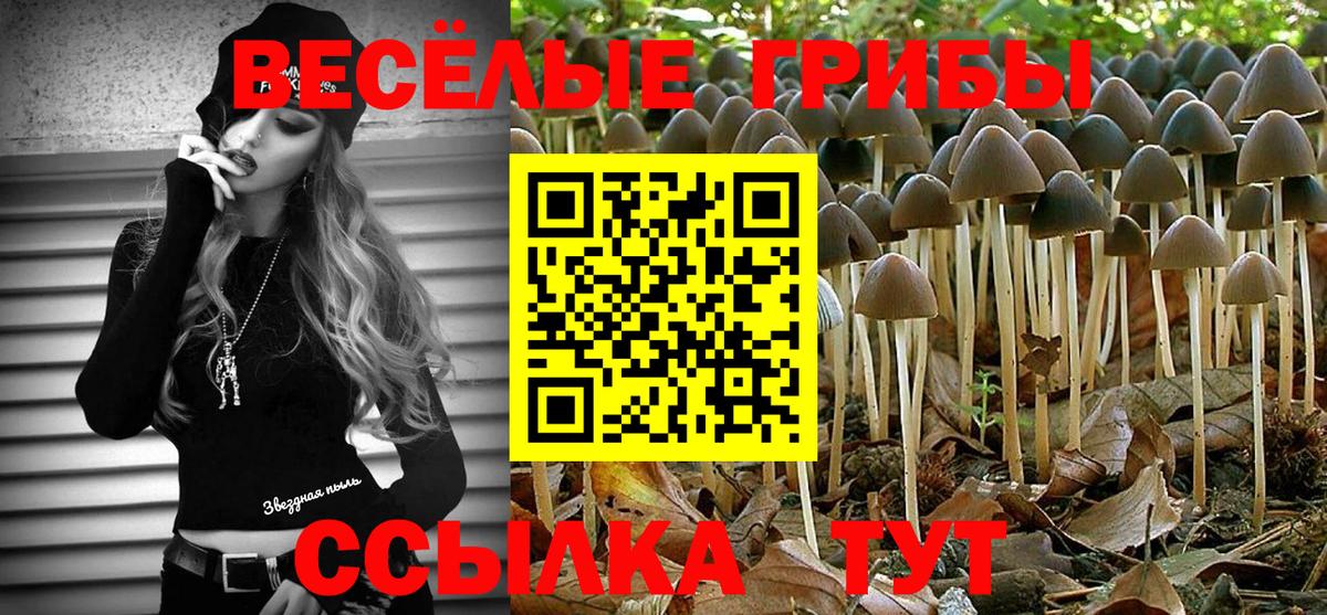 Галлюциногенные грибы прущие грибы  Вход с VPN  Бор 